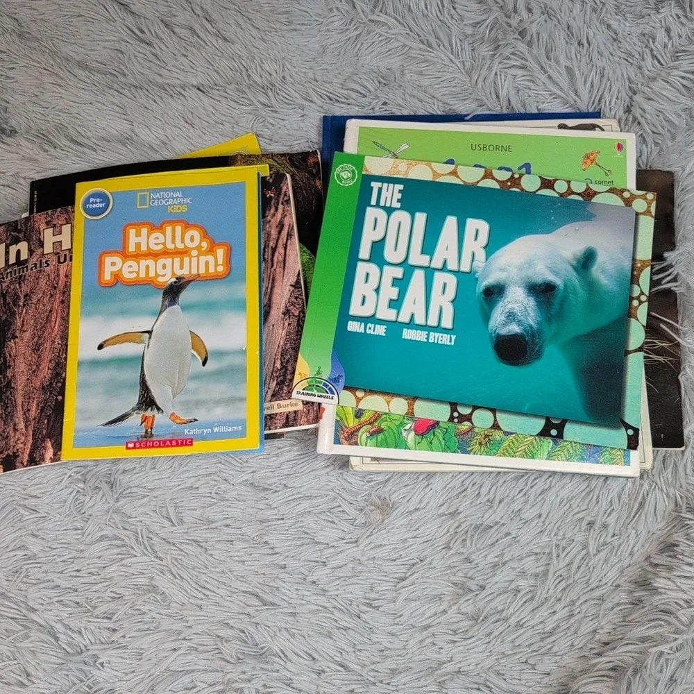 Random Lot of 20 Children Books‎ Animals Homeschool Gorilla Bears Cats